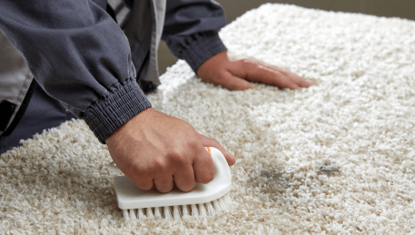 Professional Rug Cleaning Mount Duneed